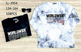 Реглан для хлопчика оптом, Sincere, 134-164 рр., Арт. LL-3954