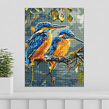 Алмазна мозайка 30*40 "Скарби природи" No8083, Ідейка