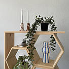 Вертикальний стелаж соти з натуральної сосни на 7 відділень Стелажі для квітів та декору в будинок або офіс, фото 6