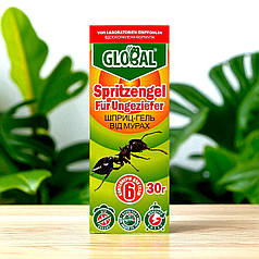 Інсектицид від тарганів та мурах Global (Глобал) шприц-гель, 30 г