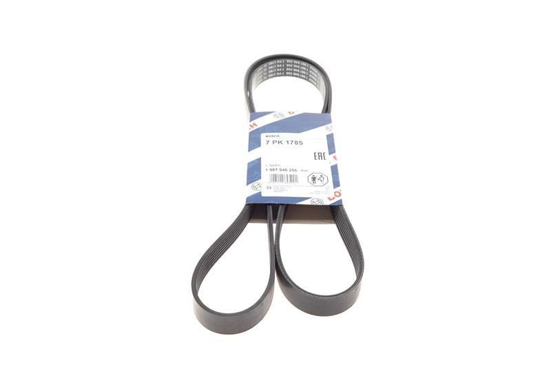 Полікліновий ремінь HONDA CR-V, RENAULT GRAND SCÉNIC, BOSCH (1987946256), фото 1