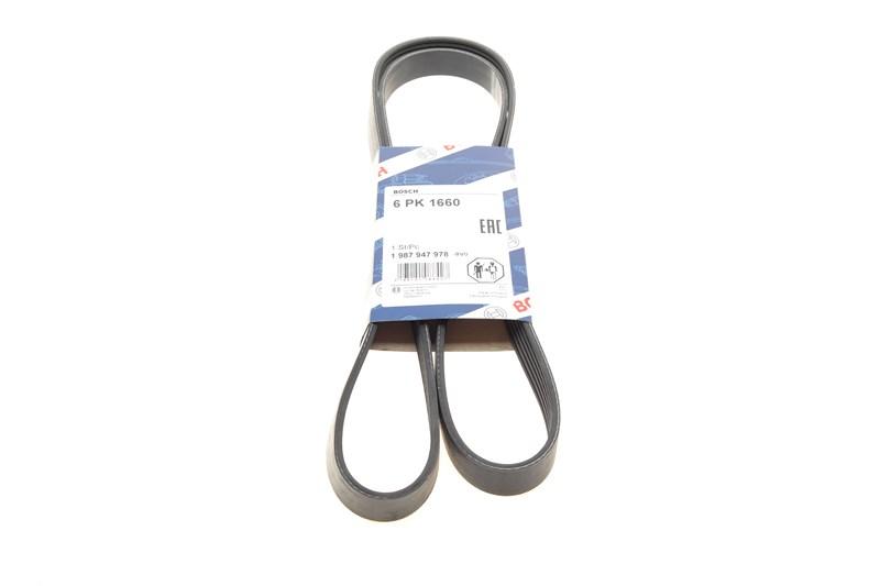 Полікліновий ремінь SKODA OCTAVIA, LANCIA ZETA, BOSCH (1987947978), фото 1