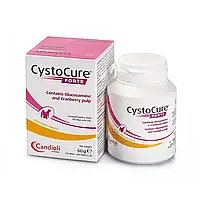 Таблетки Candioli Cystocure Forte (ЦистоКур Форте) – для підтримання сечостатевої системи у собак і котів, 30 таб