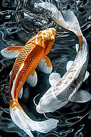 Діамантова вишивка. Картина на підрамнику Карпи Коъ як Ынь та Янь, 40х60см, квадратні стрази