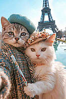 Діамантова вишивка. Картина на підрамнику "Котики в Парижі", 40х60см, квадратні стрази