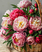 40х50 см, на підрамнику