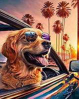 Діамантова вишивка. Картина на підрамнику "Лабрадор кайфує від життя", 40х50см, квадратні стрази