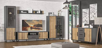 Модульна система в вітальню Стелла Мебель Сервіс