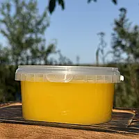 2025 р 0,5 л Мед Різнотрав'я-соняшник Натуральний з кочової пасіки