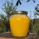 2025 р 0,7 л (1 кг) Мед Різнотрав'я-соняшник Натуральний з кочової пасіки, фото 3
