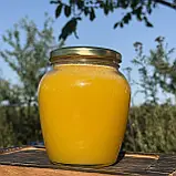 2025 р 0,7 л (1 кг) Мед Різнотрав'я-соняшник Натуральний з кочової пасіки, фото 2