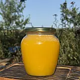 2025 р 0,7 л (1 кг) Мед Різнотрав'я-соняшник Натуральний з кочової пасіки, фото 4