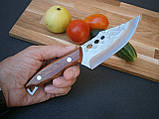 Ніж кухарський Sakuri Рremium Lux RT-6802 фултанг 22 см, фото 5