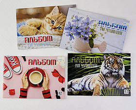 Альбом для малювання А4 12 арк. Скоба 100 г/м2 (А-11) Скат