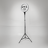 Кільцева лампа LED 36 см зі штативом 2,1 м та 3 тримачами для телефона Soft Ring, HG-14A, фото 8