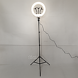 Кільцева лампа LED 36 см зі штативом 2,1 м та 3 тримачами для телефона Soft Ring, HG-14A, фото 4