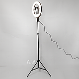 Кільцева лампа LED 36 см зі штативом 2,1 м та 3 тримачами для телефона Soft Ring, HG-14A, фото 10