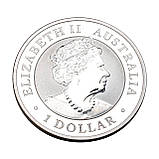 Срібна колекційна монета Australian Brumby 1 долар 1 унція 2022 Австралія, фото 3