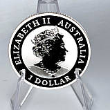 Срібна колекційна монета Australian Brumby 1 долар 1 унція 2022 Австралія, фото 5