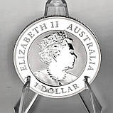 Срібна колекційна монета Australian Brumby 1 долар 1 унція 2022 Австралія, фото 7