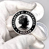 Срібна колекційна монета Australian Brumby 1 долар 1 унція 2022 Австралія, фото 8