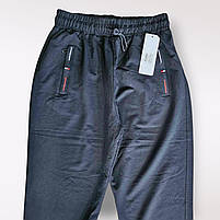 Спортивні штани чоловічі оптом, 2XL-6XL рр,  № Nk-FY-1020, фото 3