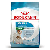 Royal Canin Mini Starter 8 кг (Роял Канін Міні Стартер) сухий корм для новонароджених цуценят та годуючих собак малих порід