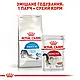 Royal Canin Indoor 0.4 кг (Роял Канін Індор) сухий корм для домашніх котів - фото 4 - id-p2718020953