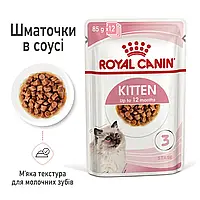 Royal Canin Kitten in Gravy 12×85 г (Роял Канін Кіттен у соусі) вологий корм для кошенят