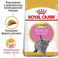Royal Canin Kitten British Shorthair 0.4 кг (Роял Канін Брітіш Кіттен) сухий корм для кошенят породи Британська короткошерста