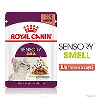 Вологий корм для котів Royal Canin Sensory Smell in Gravy 12×85 г (Роял Канін Сенсорі) для стимуляції апетиту