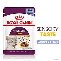 Вологий корм для котів Royal Canin Sensory Taste in Jelly 12×85 г (Роял Канін Сенсорі) для стимуляції апетиту
