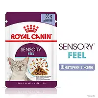 Вологий корм для котів Royal Canin Sensory Feel in Jelly 12×85 г (Роял Канін Сенсорі) для стимуляції апетиту