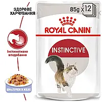 Вологий корм для котів Royal Canin Instinctive in Jelly 12×85 г (Роял Канін Інстинктив в желе)