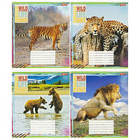 Зошит шкільний 24 листи клітинка, серія "Дика природа - тварини", білизна 100%