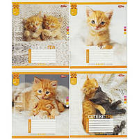 Зошит шкільний 24 аркуша клітинка, серія "Симпатичні кошенята", білизна 100%