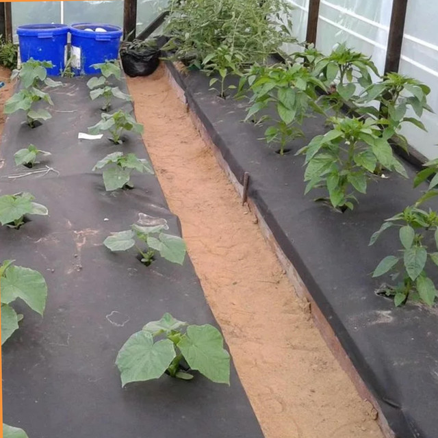 Агроволокно 100 метров