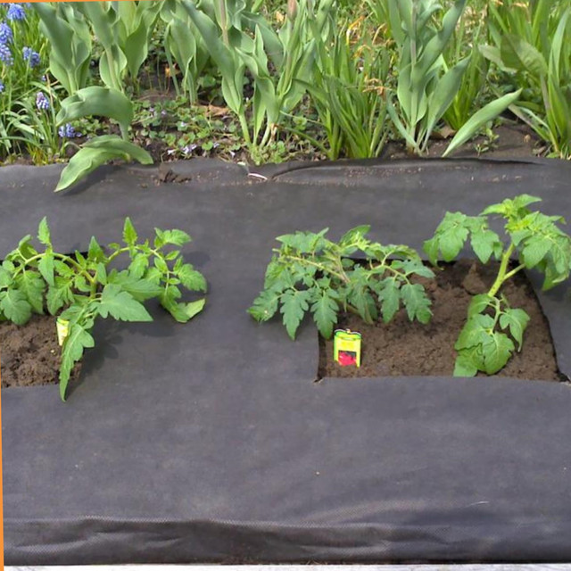 Агроволокно от бурьяна