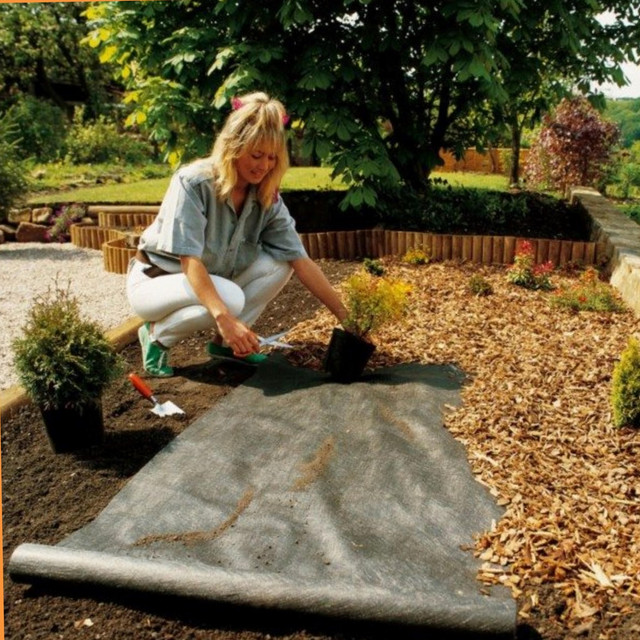 Черный спанбонд для клубники