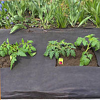 Агроволокно чорне 42 г/м2 1,6 х 100 м для полуниці мульчувальний захист від бур'янів Чехія, фото 8