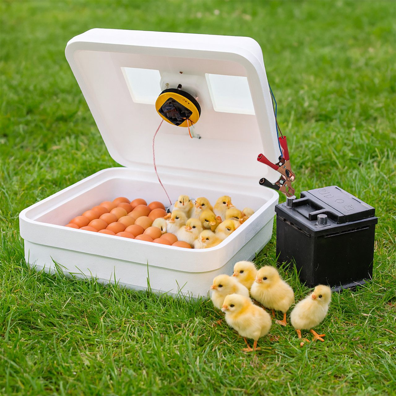 Автоматичний інкубатор «Рябушка Smart TURBO» 48 яєць | цифровий терморегулятор, вентилятор, живлення 220/12В