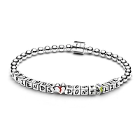 Срібний браслет Pandora «Друзі не брешуть» Дивні дива 593579C01 17