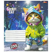 Зошит 12_арк. клітинка "МРІЇ" / Street Cat, фото 5