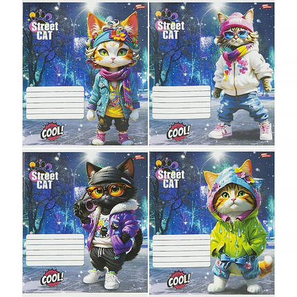 Зошит 12_арк. клітинка "МРІЇ" / Street Cat, фото 1
