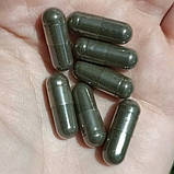 Чорний горіх від глистів і паразитів 500 мг 60 капс для дітей та дорослих Swanson USA, фото 3