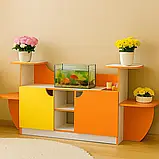 🌿 Дитяча кутова стінка «Куточок живої природи» DS-053, фото 3