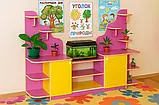 🌿 Дитяча стінка «Куточок живої природи» DS-428, фото 5