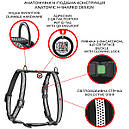 Шлея S 34-51см водостійка світловідбиваюча WAUDOG Waterproof з QR паспортом пластик фастекс сіра для собак, фото 2