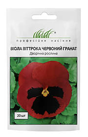 Віола Червоний гранат