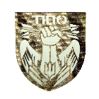 Шеврон Camotec ППО (7*8) Multicam/Люмін (9159)